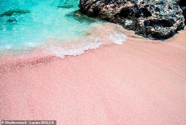 Greece's Elafonissi beach on the island of Crete made the list for its symphony of fine pink-white sand and turquoise water