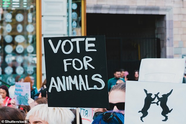 Animal activists use their voices to raise awareness about the rights of other species - but what if these animals were allowed to have their own voices on issues that affect them?  (file photo)