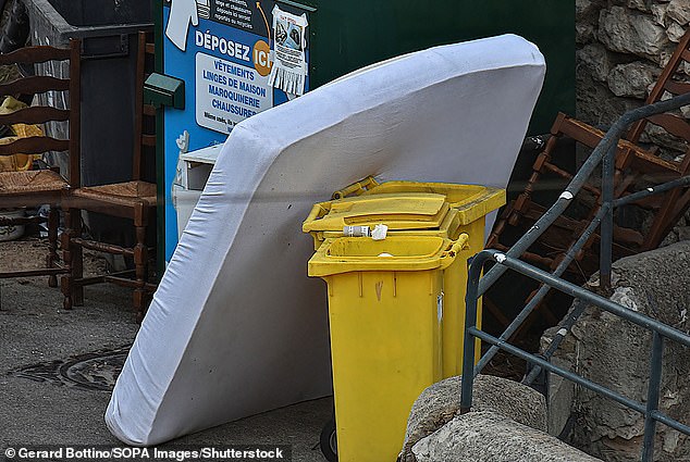 The inserts hide in mattress fabric and crevices before emerging at night to bite their sleeping victims.  The insects can also hide in clothing, furniture and even books.  In France, people threw away contaminated mattresses