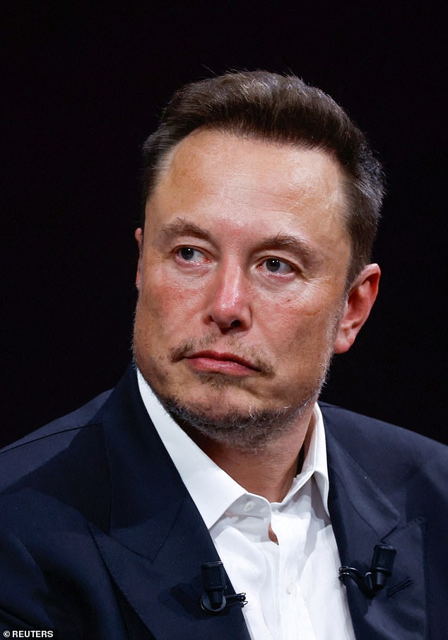 Tesla reportedly plans to build a $27,000 electric car as a host of automakers struggle to boost the adoption of eco-friendly vehicles.  Pictured: CEO Elon Musk at a conference in Paris, France, in June 2023