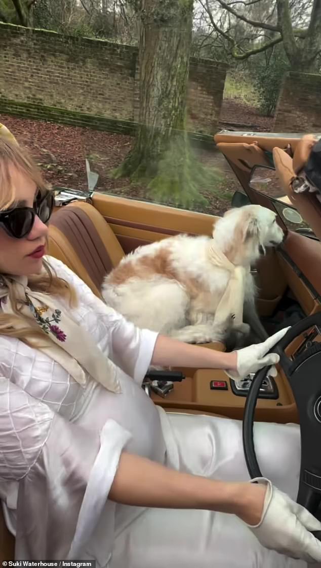 In the short video, a glamorous Suki is seen driving very slowly in a vintage convertible with her dog in the front passenger seat.