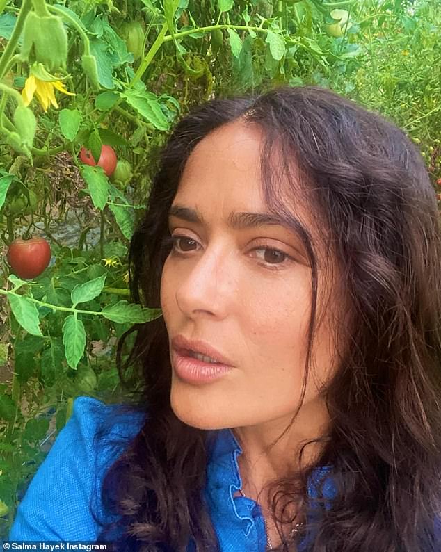 With a makeup-free face, Salma looked beautiful in a casual blue jumpsuit, glasses and her curly hair worn down