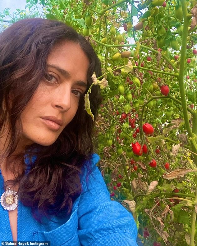 She took time to pose for selfies in front of the ripe vine tomatoes that filled the landscape