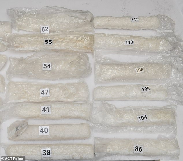 Four Sydney properties were raided following the discovery of the drugs (pictured), which arrived in NSW in a shipment from the United States