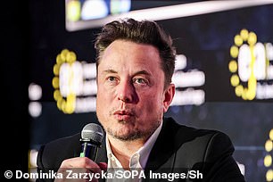 The Elon Musk-owned company is said to have sent quotes to suppliers last year, forecasting a weekly output of 10,000 compact crossovers when production starts in June 2025.