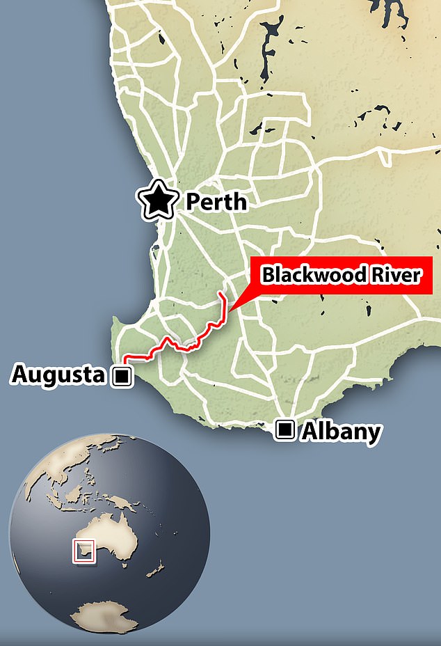 The Blackwood River runs for approximately 300 km from the junction of the Arthur and Balgarup Rivers near Quelarup in a south-westerly course through Bridgetown and Nannup