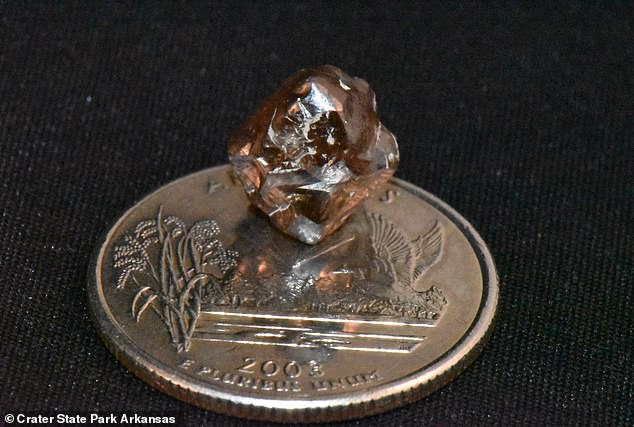 The park described the diamond as about the size of a candy gum drop