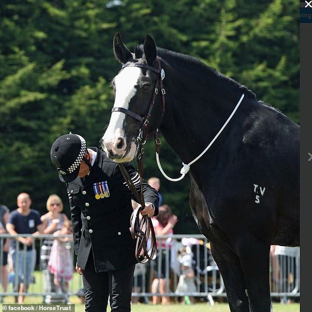 Photos posted by The Horse Trust show the shire horse