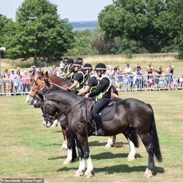 The Horse Trust said he was enjoying his 'celebrity lifestyle'