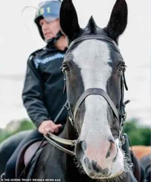 Caesar was part of the Thames Valley Police for ten years and every year he protected the late Queen at Royal Ascot during the royal procession