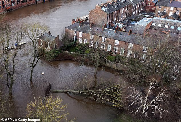 A fallen tree lying in the water after the banks of the River Ouse burst following Storm Jocelyn, January 24