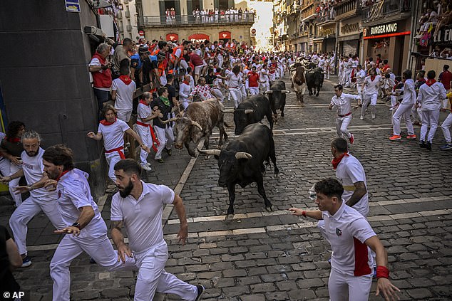 During the morning event, the bulls run 800 meters alongside competitors dressed in red and white