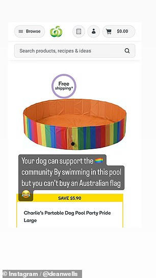 Wells showed screenshots of the Woolworths website showing a dog pool decorated with a pride flag