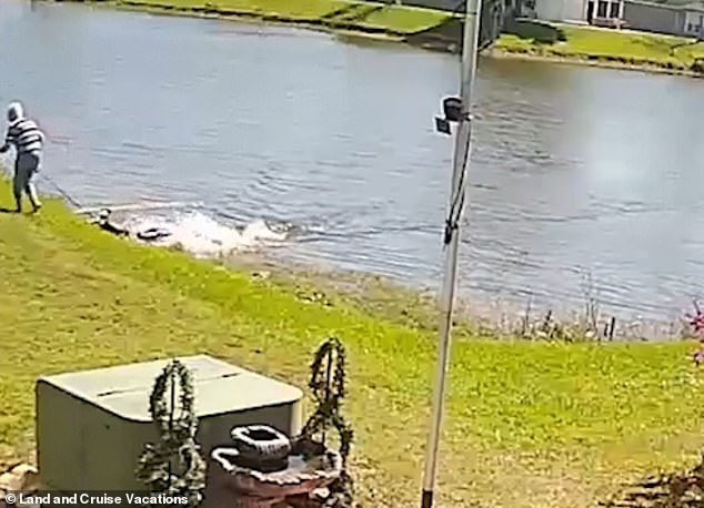 The video released later shows Serge trying to get her dog away from the alligator's jaws, but the alligator grabbed her instead and he can be seen dragging her into the lake