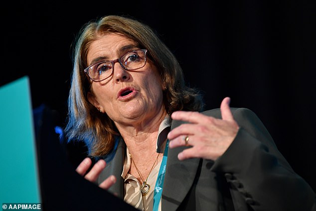 The new tax scheme will benefit middle-income earners, which some experts say could lead the Reserve Bank (pictured, Governor Michele Bullock) to delay interest rate cuts