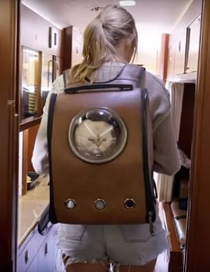 Taylor Swift carries her cat in a backpack very similar to the one seen in the film's promotional poster in her 2020 Miss Americana documentary