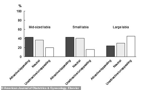 Researchers found that men tended to find small labia attractive, while larger labia were seen as unattractive