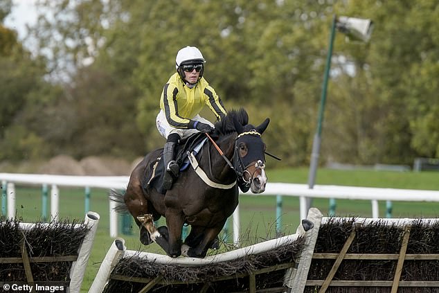 Cobden is pictured riding over the final at Burdett Road to win the Juvenile Hurdle at Huntingdon Racecourse