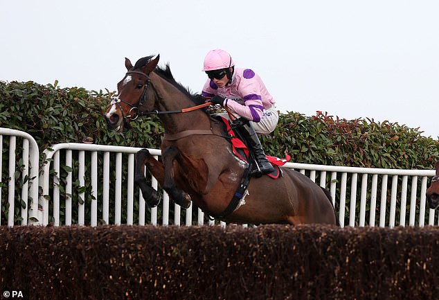 Stay Away Fay runs in the Cotswold Chase (1.50) later today and is a runner to keep an eye on