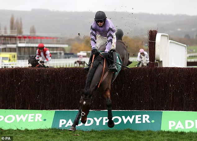 Cobden won the Timeform Novices' Handicap Chase last year with Stage Star