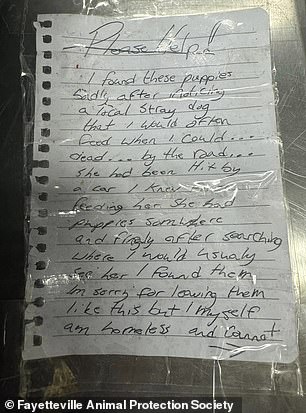 The man left a note saying the puppies' mother died after being hit by a car