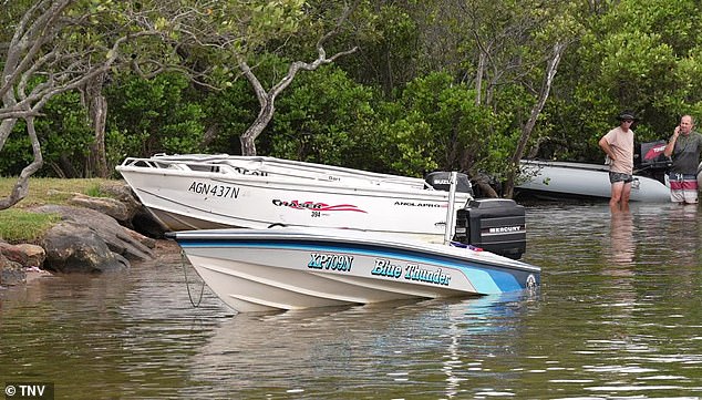 Two Tinnes (pictured) collided in Grays Point, south of Sydney, on Friday morning