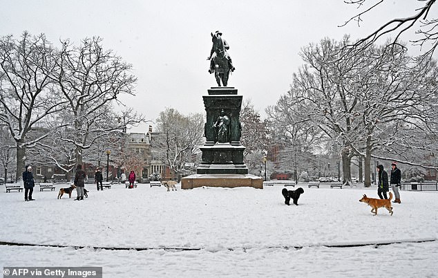 This time last week, DC was blanketed in fresh white snow after facing its second major snowstorm in just one week