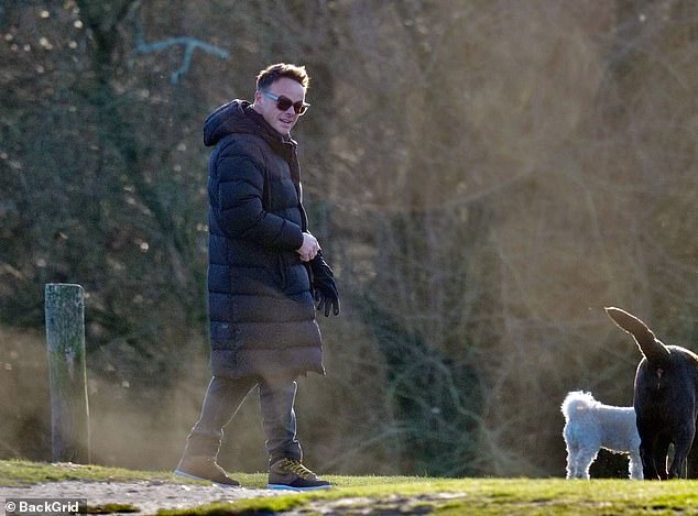 Ant appeared relaxed as he walked with Hurley, who he shares custody of with his ex-wife Lisa Armstrong, Milo and Bumble in a London park