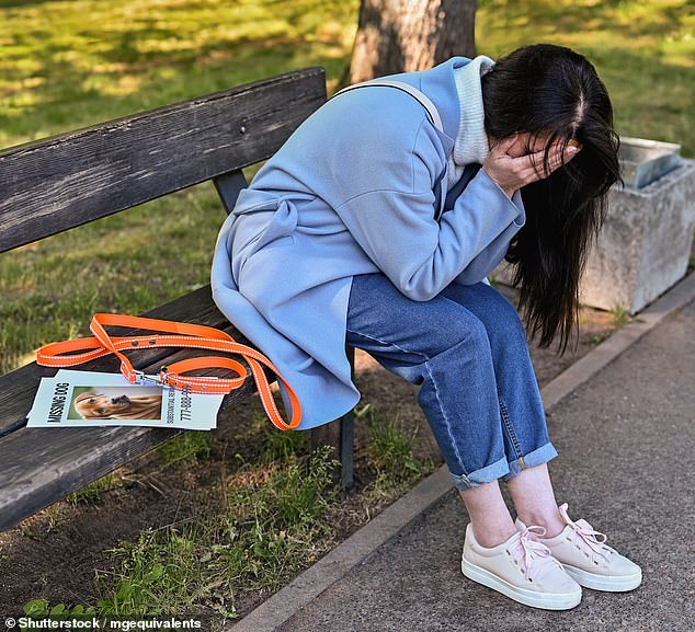 May claimed that 'Goose ran off' rather than admit to her sister that she had sold the puppy to another family (stock image)