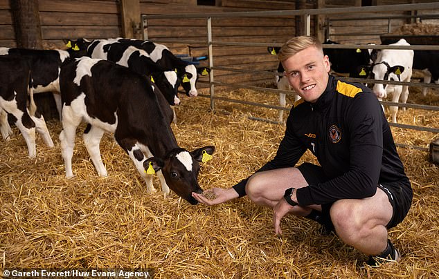 Will Evans is a reject from Shrewsbury turned farmer who became Newport's top scorer