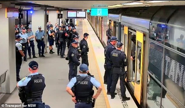 NSW Police intercepted a train carrying the neo-Nazi group at North Sydney station on Friday, Australia Day (above)