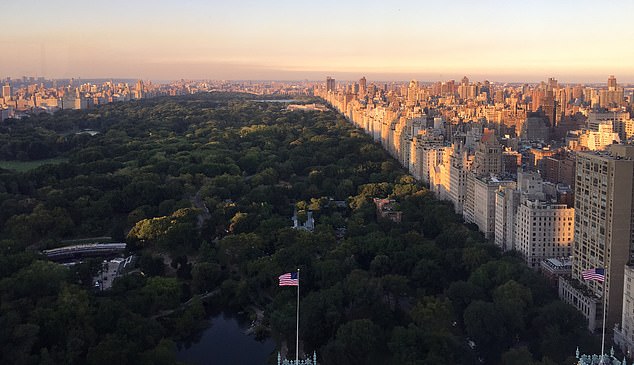 She worked on the 46th floor overlooking Central Park (pictured) and worked for a soft-spoken financial genius who was clearly raking in billions