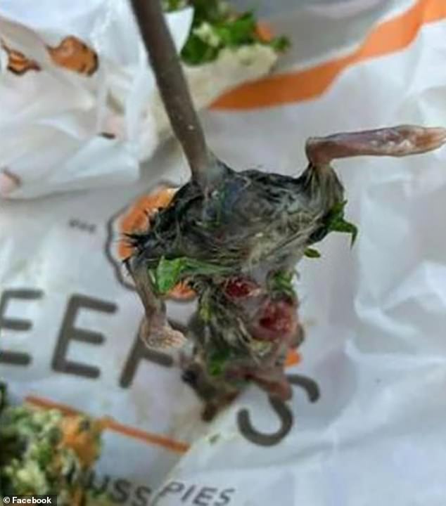 The man said he also couldn't eat the cake he ordered after finding the rat (pictured), days after another man found a dead rat in a salad bag he bought at the store