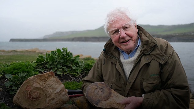 David Attenborough (pictured), Jeremy Clarkson and Audrey Hepburn were the top celebrity choices in Britain, while John Wayne, Tom Brady and Dreaming were the US contestants' top choices