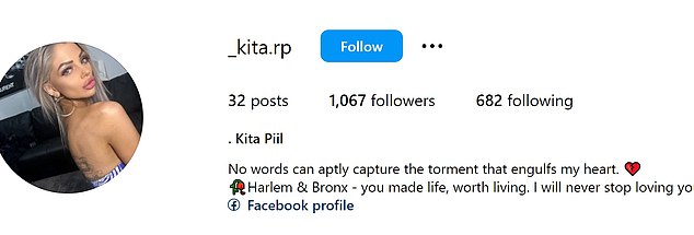 Ms Piil turned her Instagram bio into a tribute to her dogs (photo)