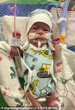 “I barely left his side when he was born, and even at home I checked the camera to make sure he was okay in the hospital,” said Leovani's mother, Isabel.