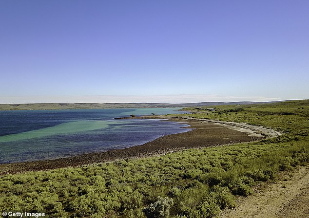 The family had stopped in Fitzgerald Bay (pictured), just north of Whyalla, South Australia, when their road trip turned into a nightmare