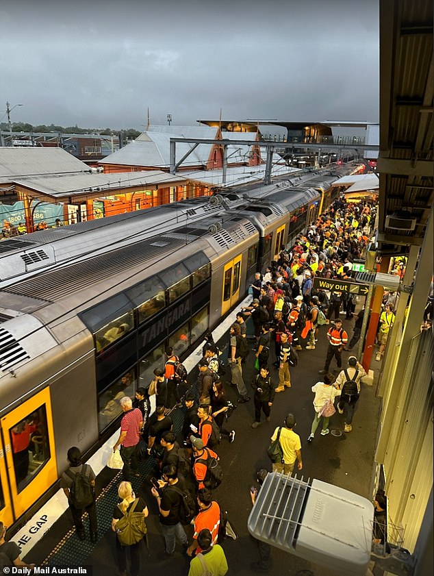 1706559384 686 Sydney Trains Teen struck down major delays impacting T3 and