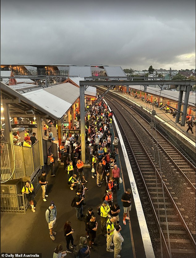 1706559386 881 Sydney Trains Teen struck down major delays impacting T3 and