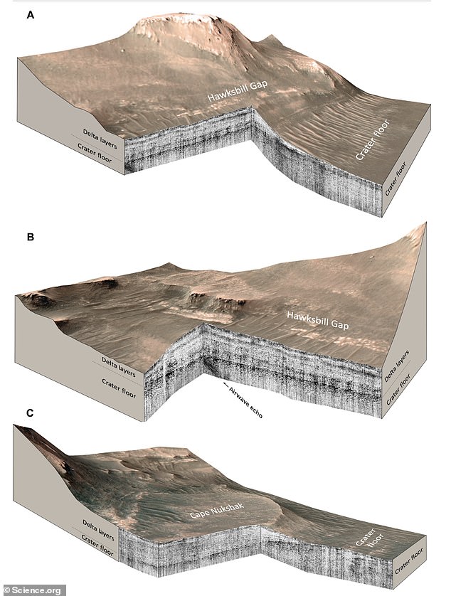 The findings were discovered using Perseverance's instrument, which fires radar waves (black and white) beneath the surface of Mars at 10 centimeter intervals and measures pulses reflected from depths of about 20 meters below the surface.