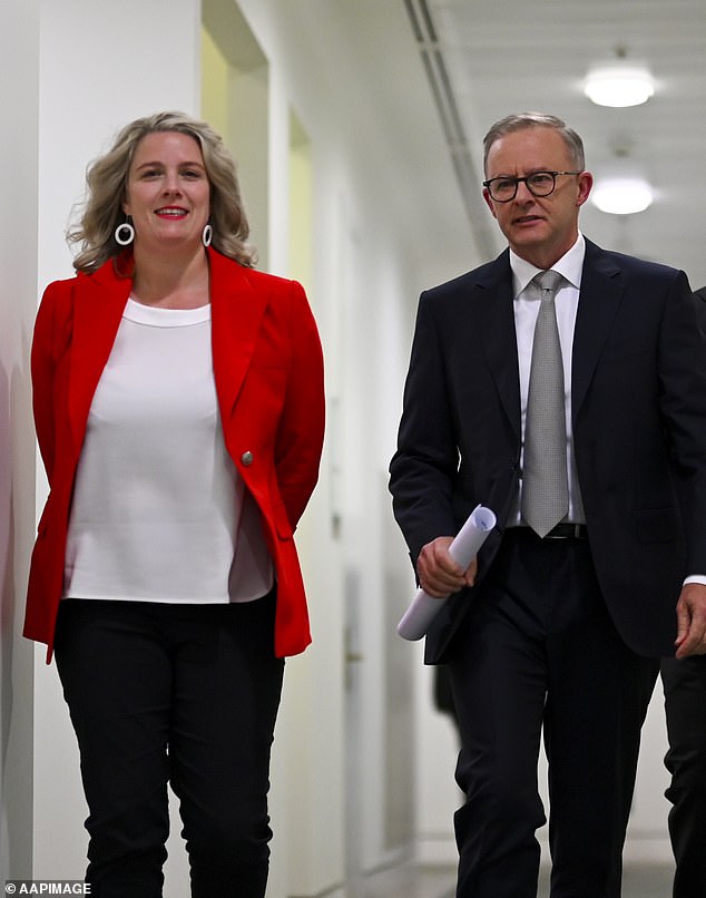 Prime Minister Anthony Albanese and Home Secretary Clare O'Neil are determined to rein in immigrant numbers, which will be done largely by cracking down on foreign students and immigration brokers who skirt the rules