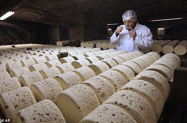 Bernard Roques, a refiner from the Societe company, smells a Roquefort cheese as it ripens in a cellar in Roquefort, southwestern France