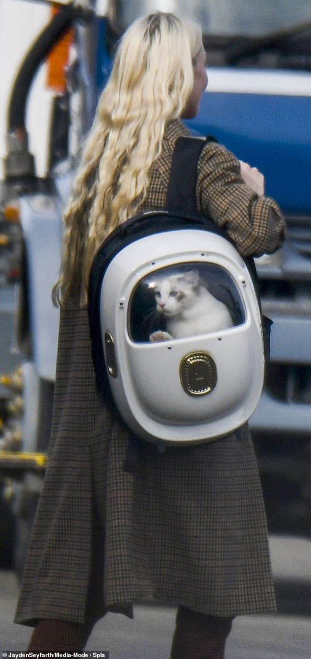 Meanwhile, actor Anya Taylor-Joy was seen walking the streets in 2022 with her furry companions in one of the carriages