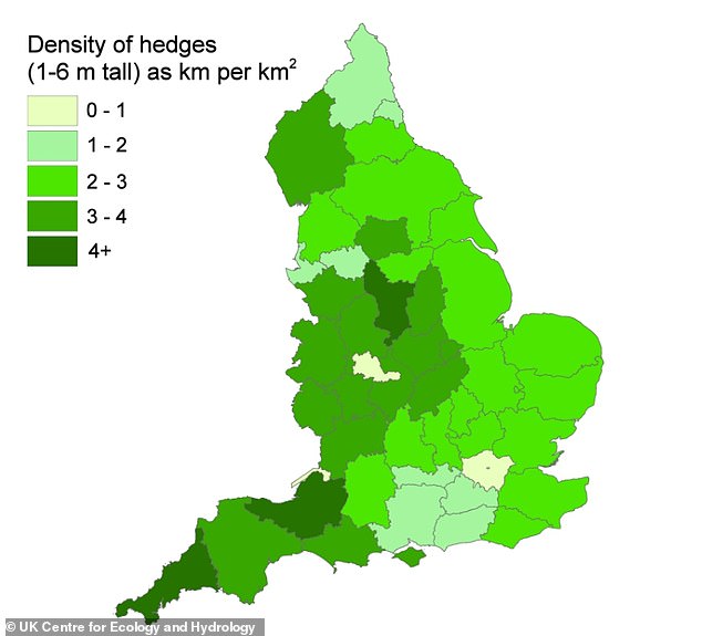 Depicted is the density of hedges (1-6 meters high) per province.  Cornwall, Somerset and Derbyshire have the most hedges, while Surrey, Hampshire and Berkshire have the fewest