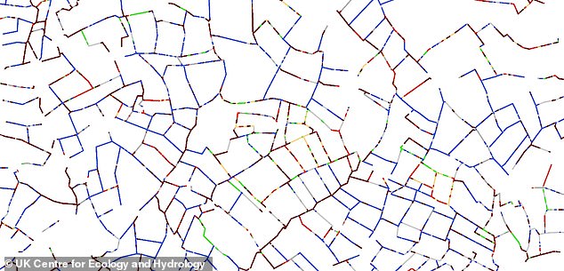 The intricate network of hedgerows in England and the role they play in nature is perhaps underappreciated