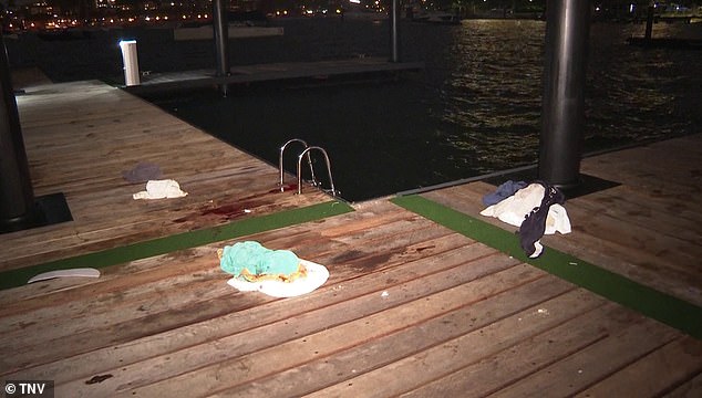 Emergency services rushed to Elizabeth Bay at 7.45pm on Monday to find Ms O'Neill with a serious bite to her leg and 'major blood loss'.  A blood-stained boardwalk is depicted at the scene