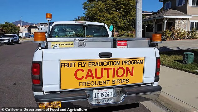 Workers will go door to door from now through February removing fruit from all “citrus trees and other fruit-producing plants.”