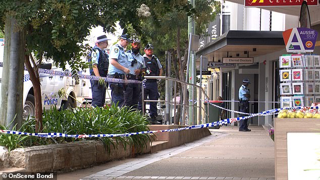 Two witnesses gave chase and made a dramatic citizen's arrest on the Frenchman's road (photo, police on site)