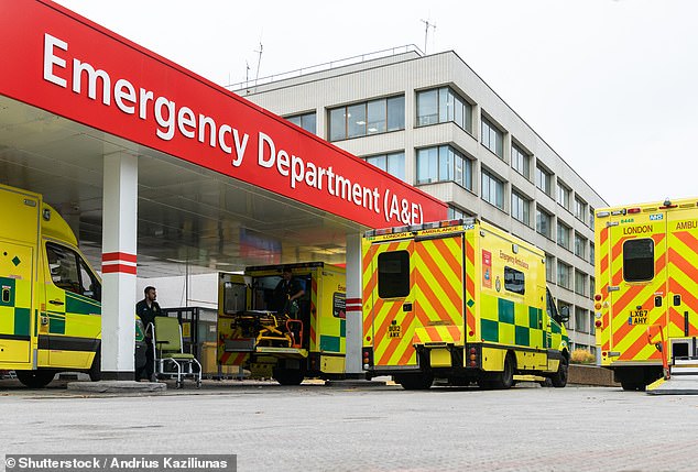 Earache, impertigo, infected insect bites, shingles, sinusitis, sore throat and urinary tract infections in women can now be treated through the pioneering service designed to ease pressure on the NHS (stock image)