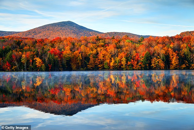 Contrary to popular belief, Florida does not have the oldest residents in the US – and was even surpassed by Vermont (pictured), with an average age of 43.2 years